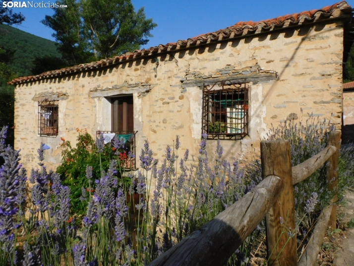 Tiempo en Soria, lunes 11 de agosto: mañana soleada que tornará en cielos parcialmente cubiertos