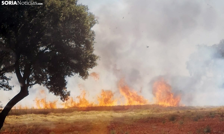 Alerta de riesgo de incendios forestales por causas meteorológicas los días del 4 al 8 de agosto en toda Castilla y León