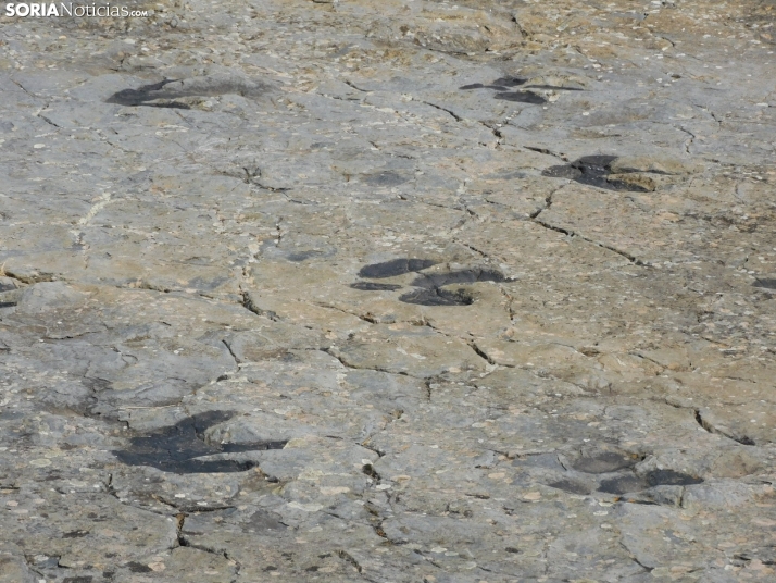Dónde ver huellas de dinosaurio en Soria
