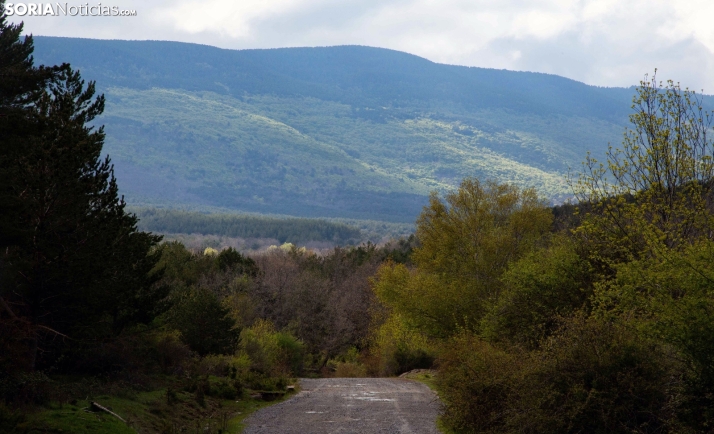 Los frutos rojos como motor de futuro: El Royo impulsa el emprendimiento rural con un nuevo taller