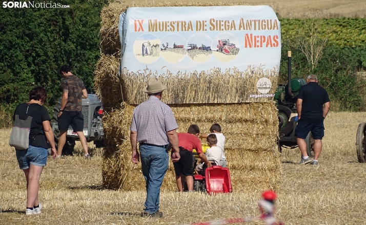 CRÓNICA Y FOTOS | Nepas viaja al pasado con la Siega Antigua: de la recolección a mano a los tractores restaurados