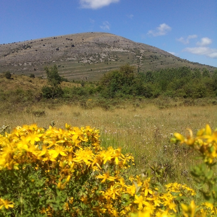 Espejo de Tera bate el récord de España de amplitud térmica: de 5,3 grados por la noche a 35,6 por el día