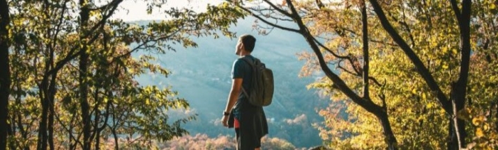 Diez proyectos de emprendimiento forestal recibirán formación y mentoría gratuita para nacer en Soria