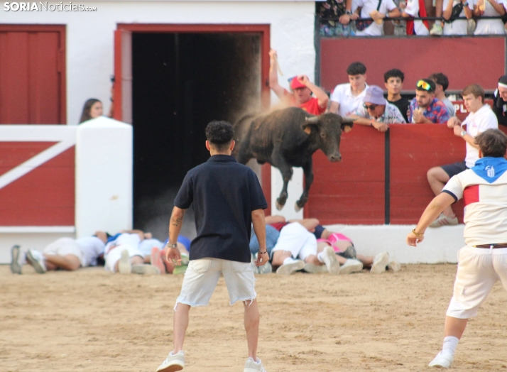 FOTOS | La becerrada de las peñas divierte en las fiestas de El Burgo