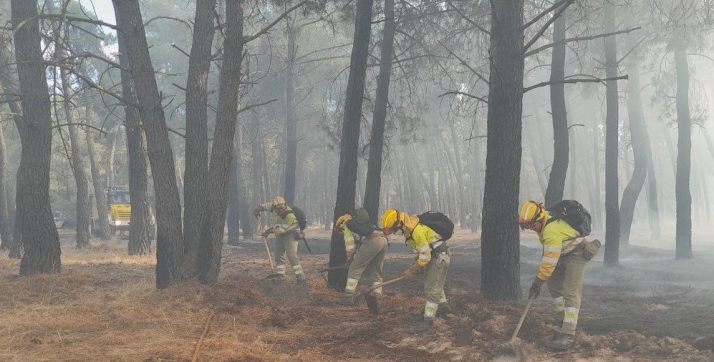 Carriedo pide por carta a la ministra de Hacienda que las ayudas por los incendios no tributen en la declaración de la renta