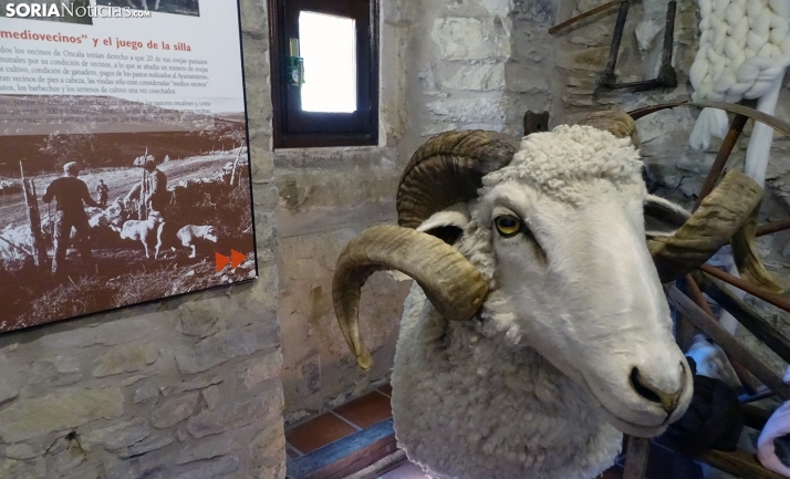 La Diputación de Soria convoca 30.000 euros en ayudas para el mantenimiento de museos y salas de la provincia