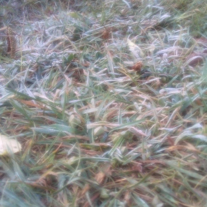 Espejo de Tera registra la primera helada de la temporada con -0,4ºC