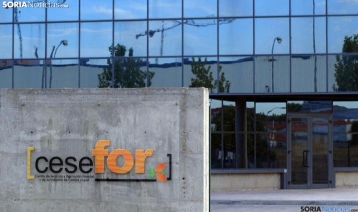 Nuevas oportunidades de empleo en el sector primario gracias a la formación en castaña y resina