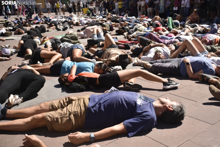 En fotos: Decenas de sorianos detienen su domingo en un emotivo acto en defensa de Palestina