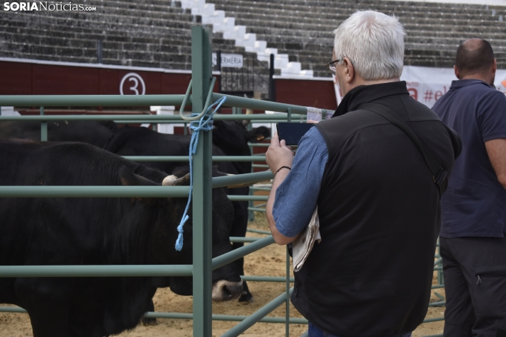 El premio de la Feria Ganadera de Soria ya tiene dueño