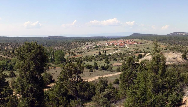 El futuro de 518 hectáreas de monte en Herrera de Soria, sellado hasta 2033 con un nuevo plan de gestión