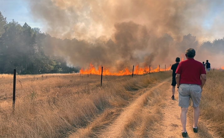 La recuperación económica y el apoyo a los damnificados por el fuego centran las nuevas ayudas de la Junta
