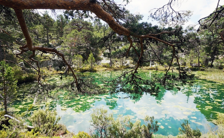 La Junta aprueba más de 380.000 euros para restaurar 36 humedales en Soria, Ávila y Valladolid