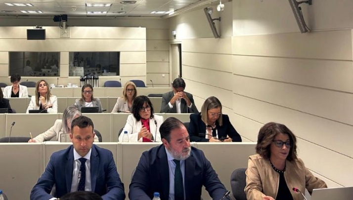 El Senado aprueba dos mociones del PP para reclamar al Gobierno las ayudas a Soria y una obra en El Burgo