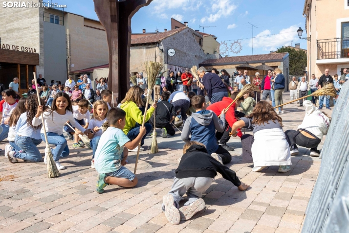 GALERÍA | Las escobas afloran en Osma