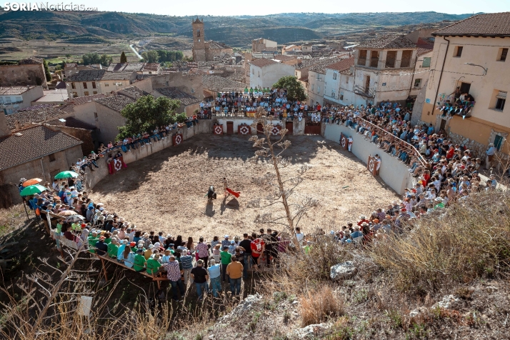 Deza se vuelca con sus fiestas: cuatro días de verbenas, toros y tradición para todos