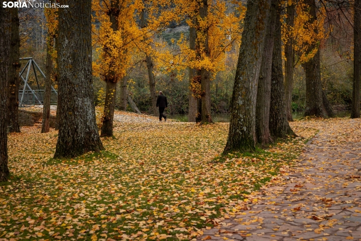 10 rincones de Soria para fotografiar el otoño
