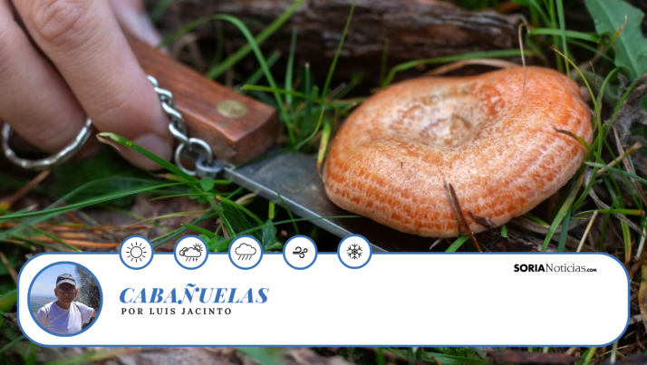 ¡Atención amantes de las setas! Las cabañuelas de Luis Jacinto predicen un Octubre muy seco sin apenas lluvias