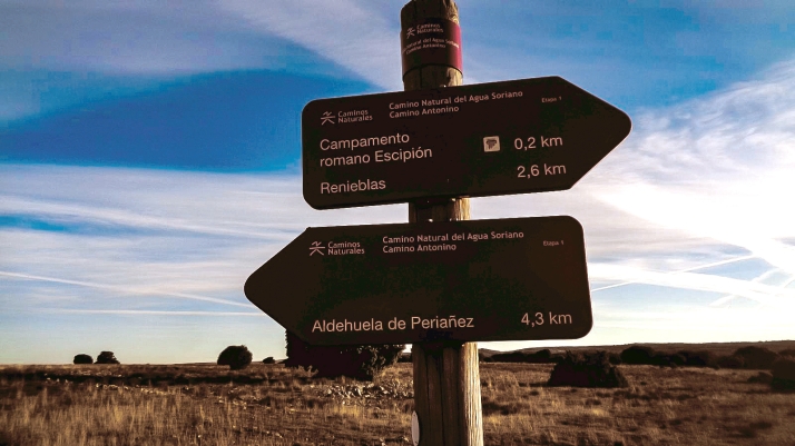 El Museo Numantino acoge la presentación de la traducción de Numantia IV de Schulten