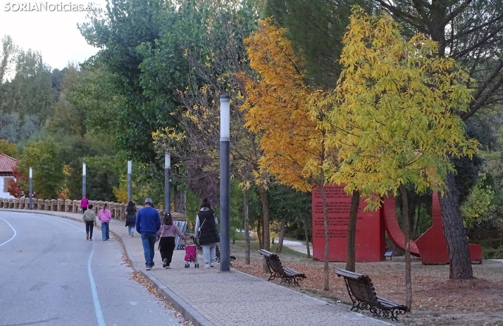 FOTOS | El otoño que comienza a acariciar Soria