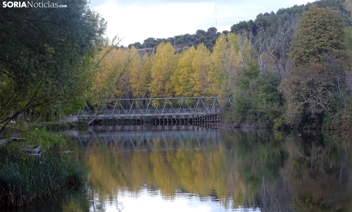 Sábado otoñal y gris