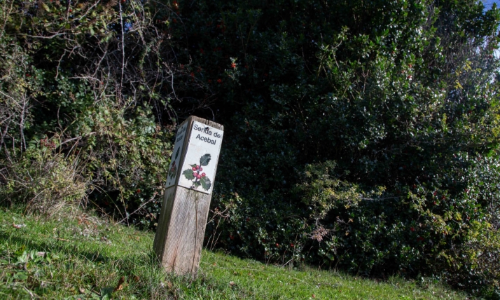 Con un 5% más de visitantes, el Acebal de Garagüeta se prepara para su mayor renovación en años