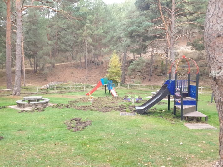 Los jabalíes causan graves destrozos en las inmediaciones del campo de fútbol de San Leonardo