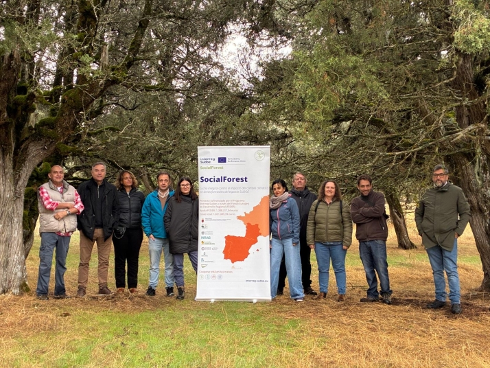 De las sabinas de La Cuenca a las trufas: Soria muestra su riqueza forestal a Europa