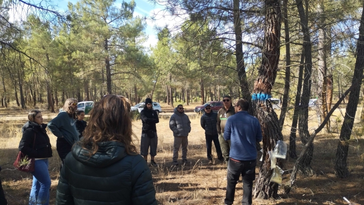 El futuro de la resina: Cesefor presenta la extracción mecanizada en Segovia