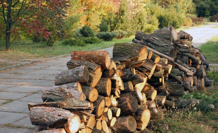 La Póveda de Soria abre el plazo para alegar a la nueva ordenanza de leñas
