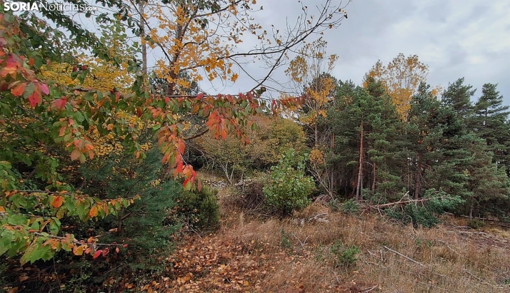 Las Cabañuelas de Luis Jacinto: Así será el clima en noviembre