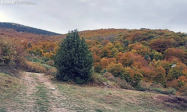 Cambios en el tiempo: Bajada general de las mínimas