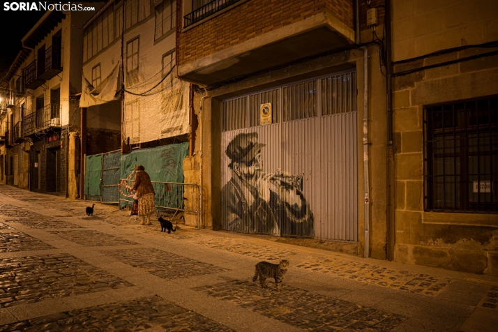 Halloween no es el problema: los gatos (no solo negros) que nadie quiere en Soria