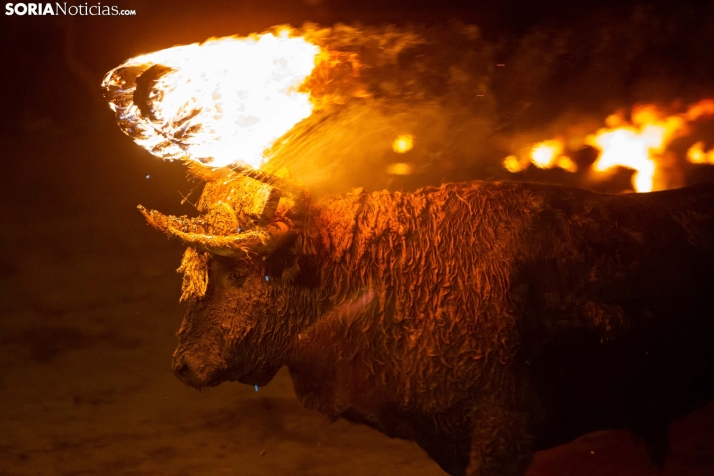 PACMA solicita apartar al magistrado del Supremo en el caso del Toro Júbilo por enemistad manifiesta