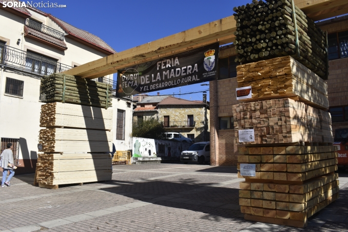 Durufema busca visibilizar el potencial de la madera y pide que los aprovechamientos forestales reviertan en el territorio 