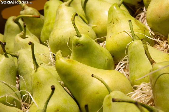 Castilla y León exhibe su potencial hortofrutícola en Fruit Attraction con un 77% más de exportaciones en cinco años