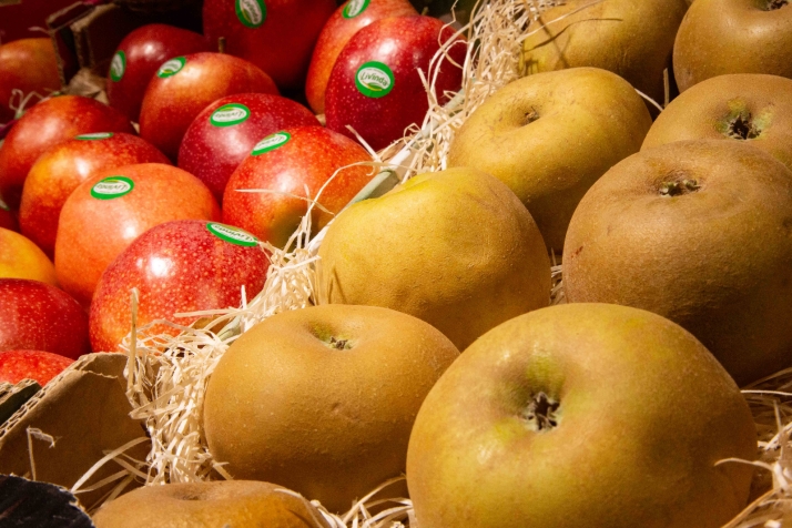 La Junta abre el plazo para que los colegios se inscriban en los programas de consumo gratuito de fruta y agricultura