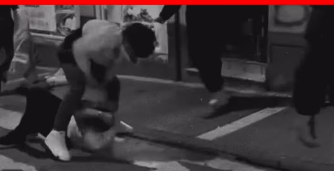 Senador del PP comparte vídeo de pelea en Soria: Algunos nos llaman fachas…