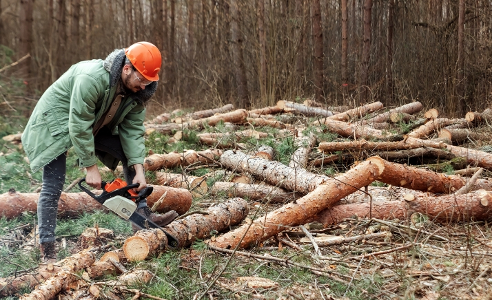 Menos riesgo de incendios y montes más cuidados: la propuesta fiscal de ASFOSO a la Junta