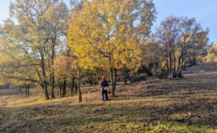 ASFOSO, premiada por demostrar que economía y naturaleza pueden ir de la mano