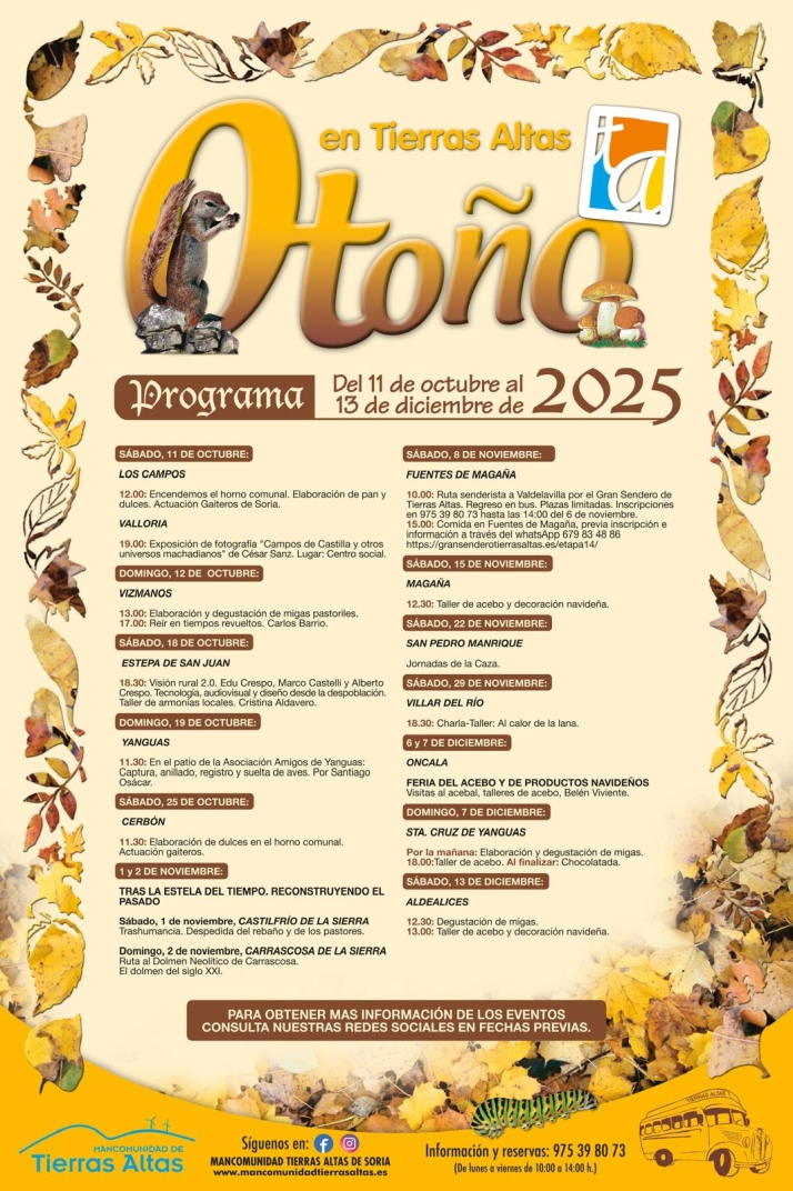 El otoño soriano se vive en Tierras Altas: de la caza al acebo y también en la mesa