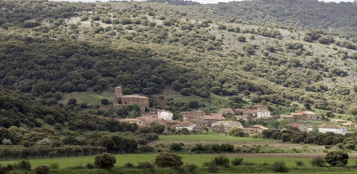ASFOSO pide a la Junta reflexionar sobre el Decreto-Ley de incendios por ser lesivo para propietarios forestales