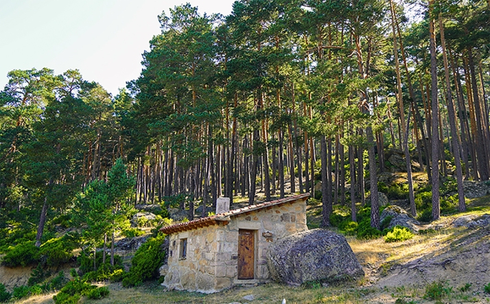 La Justicia respalda derogar el reglamento forestal de Covaleda