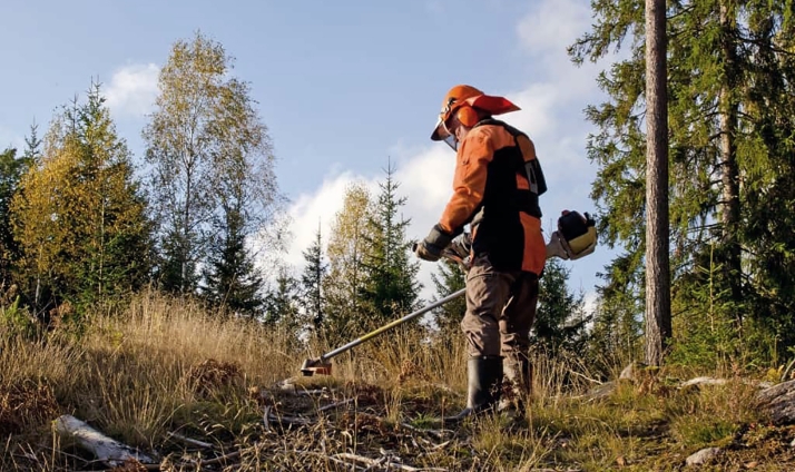 Concesiones denegaciones: así se reparten las ayudas silvopastorales en la provincia