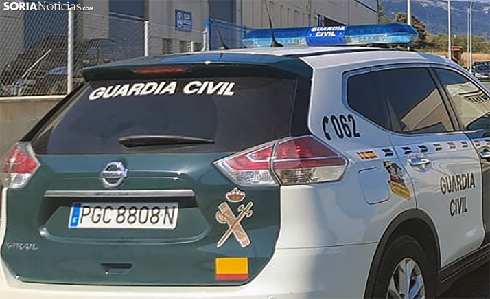 Investigados en Ágreda por disparar a varios gatos con una carabina de aire comprimido