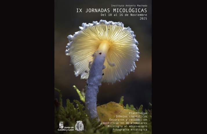 Las setas de Soria unen ciencia y arte en las jornadas del IES Antonio Machado