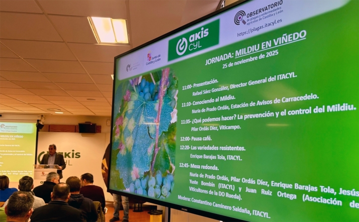 Casi dos millones de euros de inversión para blindar la salud del viñedo de Castilla y León