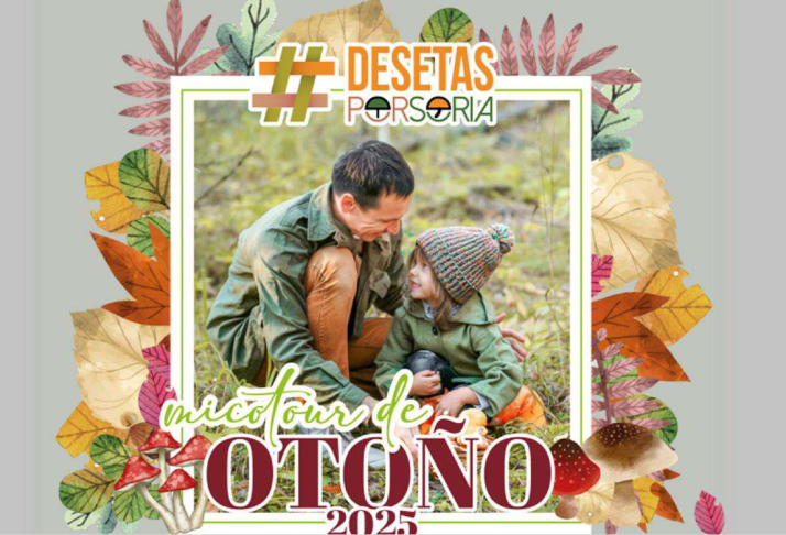 Ya disponible la revista Casas de Soria de noviembre: Las setas, unas de sus protagonistas