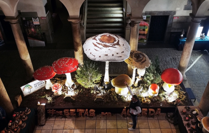 Ágreda combina talleres infantiles y salidas al campo en sus jornadas de setas