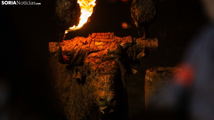GALERÍA | El fuego del Toro Jubilo vuelve a iluminar Medinaceli